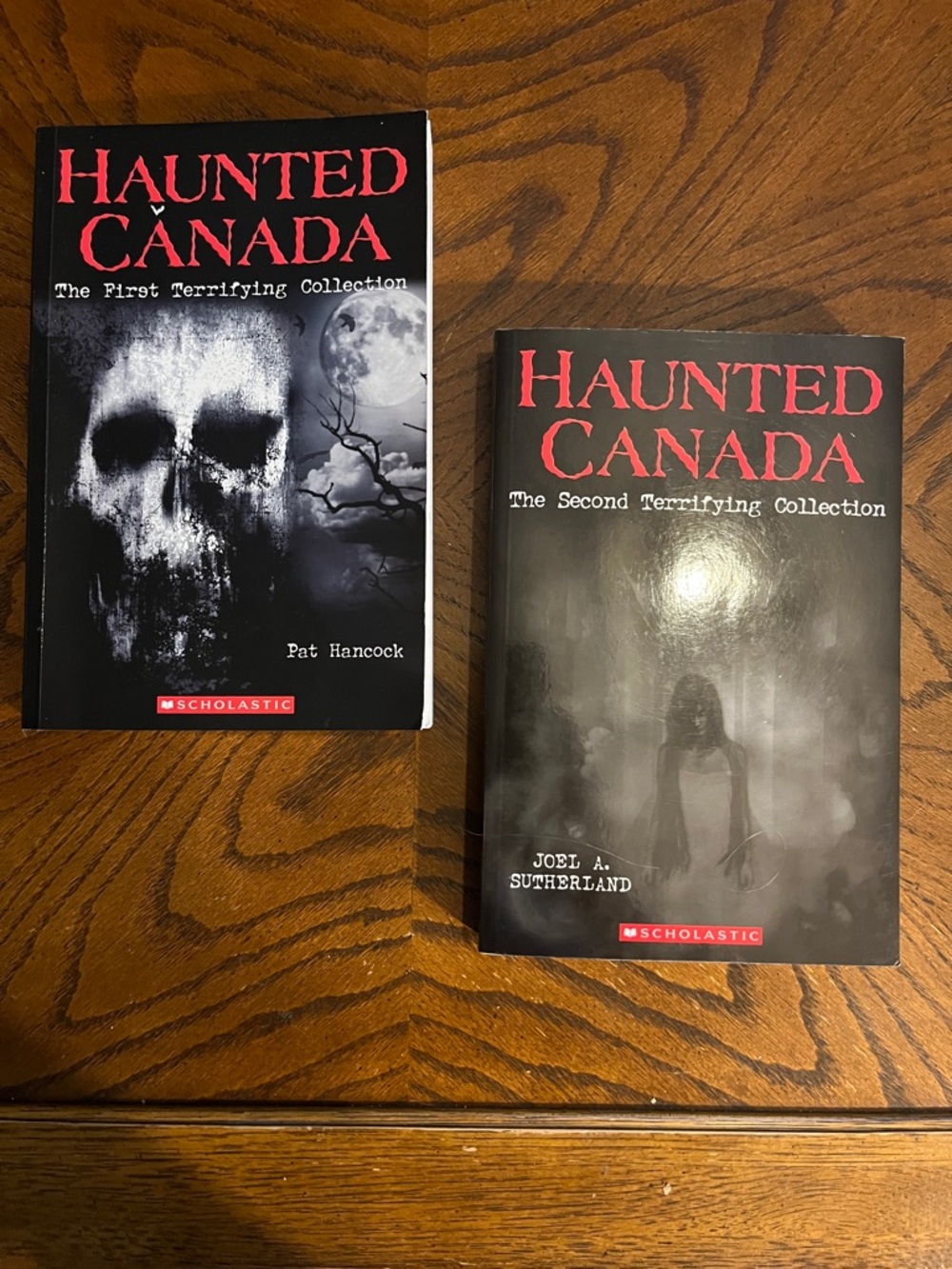 Haunted Canada kids books | set of 2 scary chapter books | Canadian